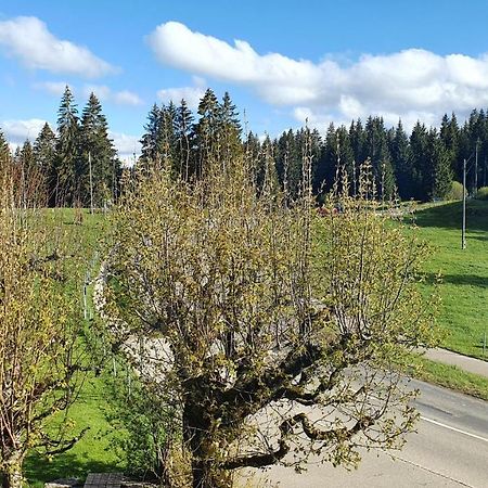 Auberge De La Couronne Saignelégier エクステリア 写真